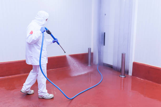 Best Solar Panel Cleaning  in Webster Groves, MO