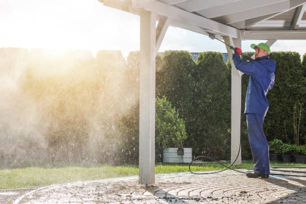 Best Graffiti Removal  in Webster Groves, MO
