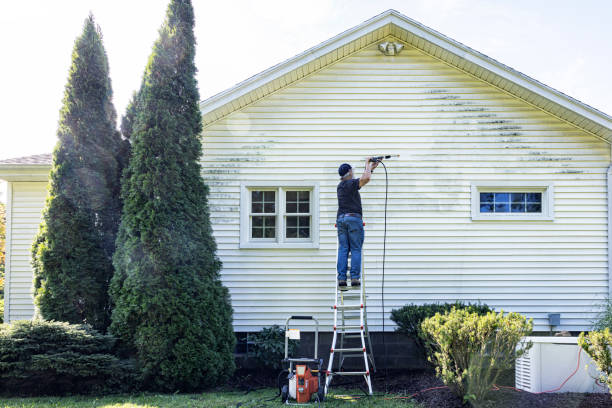 Best Dumpster Area Cleaning  in Webster Groves, MO